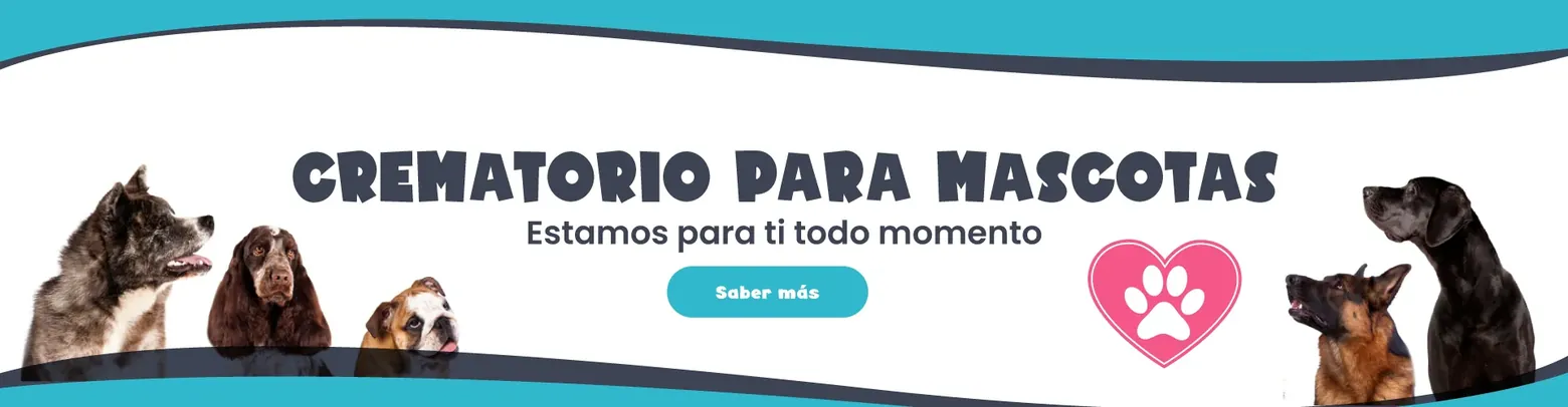 Crematorio para mascotas. Estamos para ti todo momento.