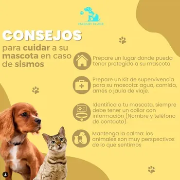 Publicación: consejos para cuidar a tu mascota en caso de sismo