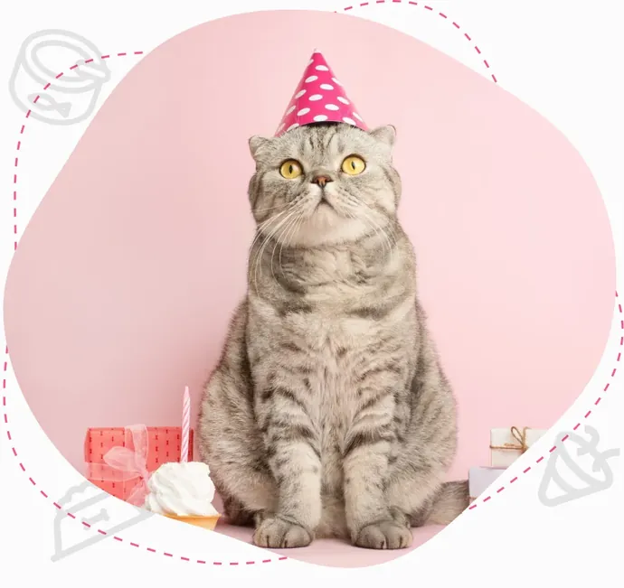 Gato atigrado con gorro de cumpleaños junto a regalos